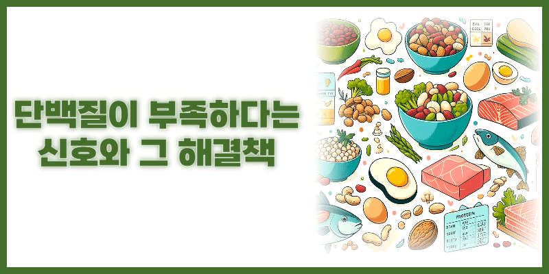 단백질부족신호와 해결책