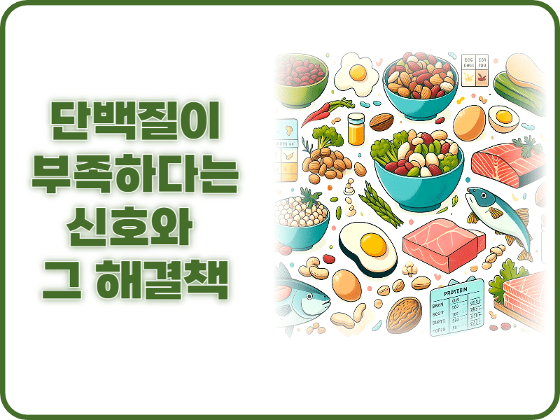 단백질 부족