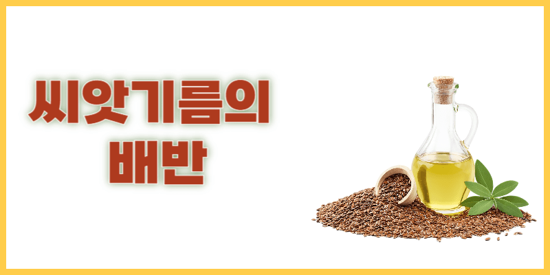 씨앗기름의 위험성