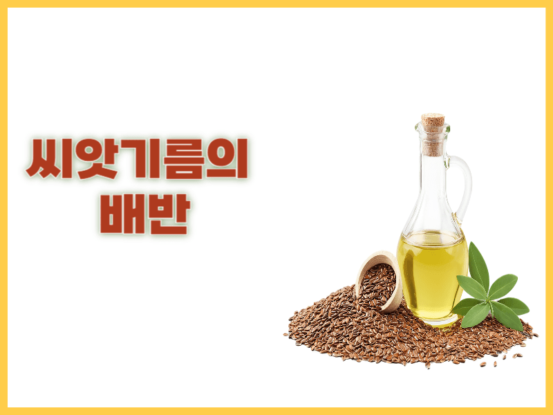 씨앗기름의 배반